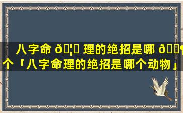 八字命 🦋 理的绝招是哪 🐶 个「八字命理的绝招是哪个动物」